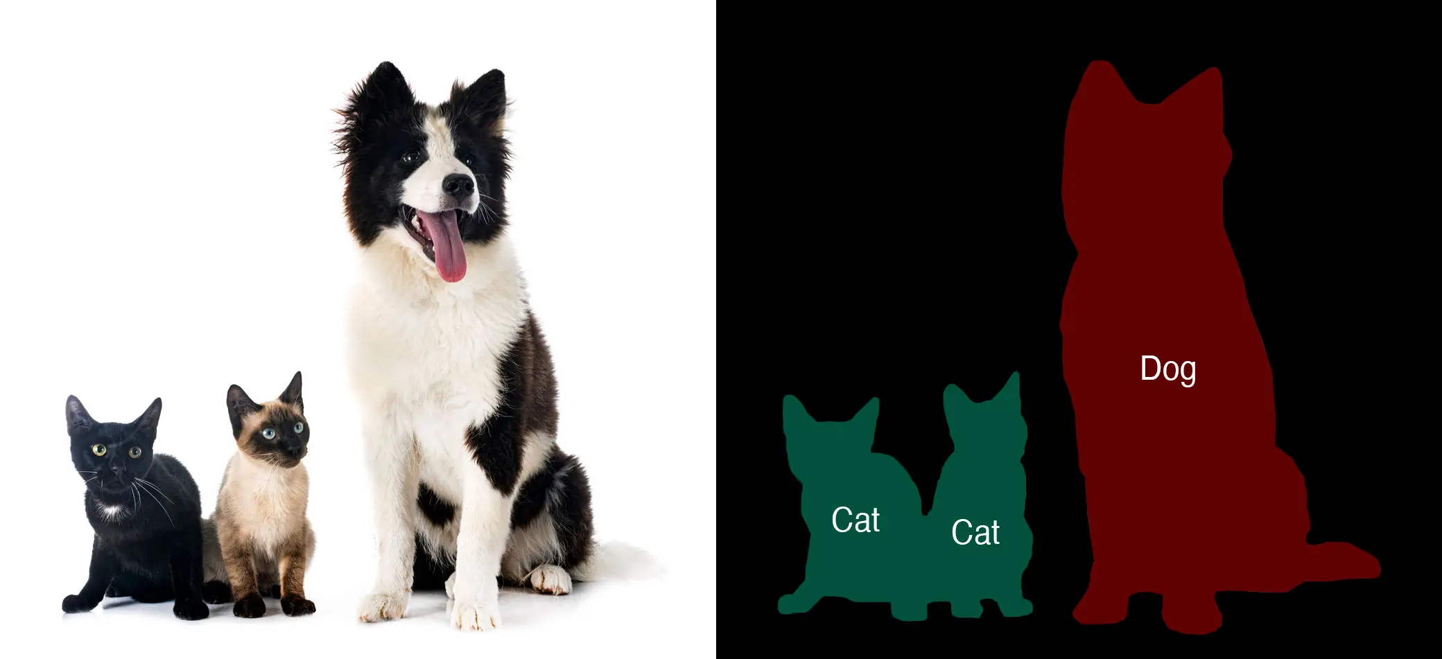 Image Segmentation